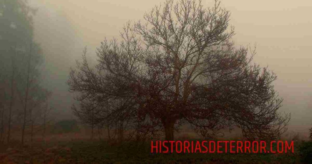 historia de terror-el arbol