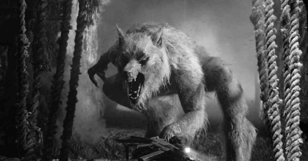 Historia de terror - Aullido nocturno