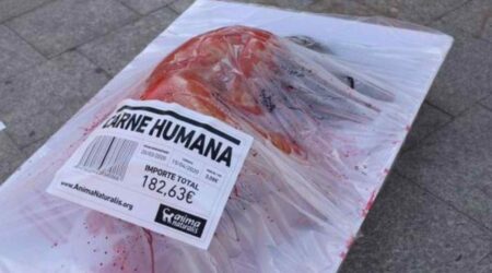 Historia de terror-Carne humana