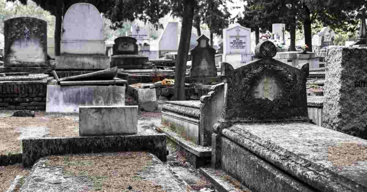 los-perror-aullan-historia-de-terror