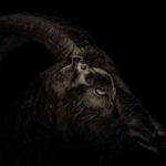 la-visita-del-nahual-historia-de-terror