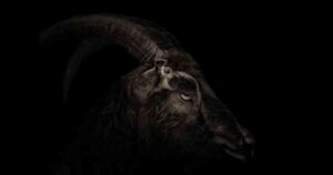 la-visita-del-nahual-historia-de-terror