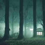 historia de terror - Madre frente al bosque buscando al niño perdido en el bosque